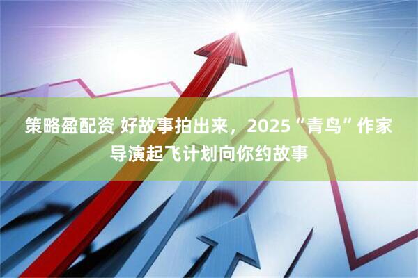 策略盈配资 好故事拍出来，2025“青鸟”作家导演起飞计划向你约故事